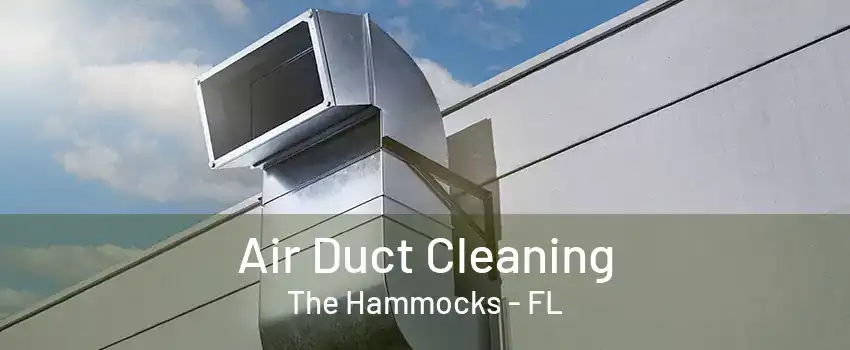 Air Duct Cleaning The Hammocks - FL