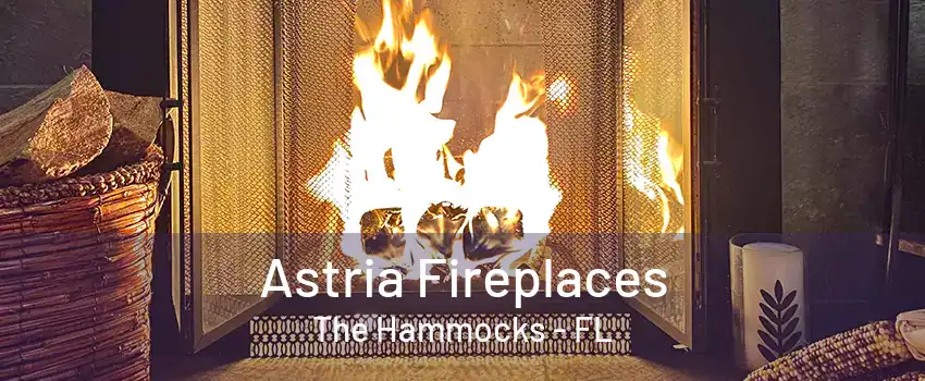 Astria Fireplaces The Hammocks - FL