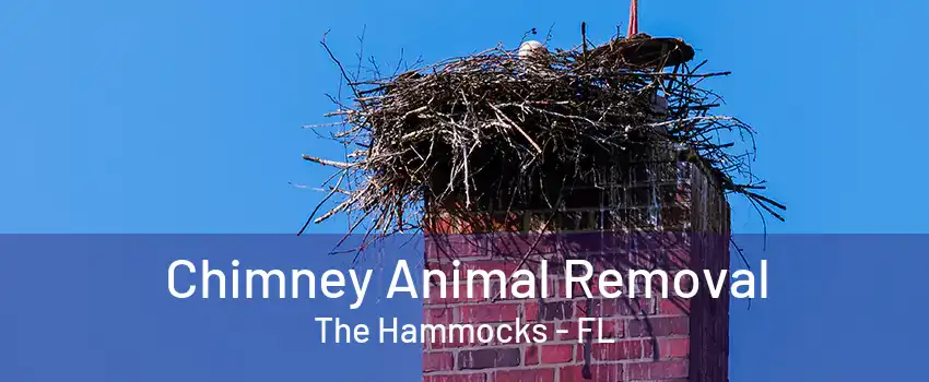 Chimney Animal Removal The Hammocks - FL