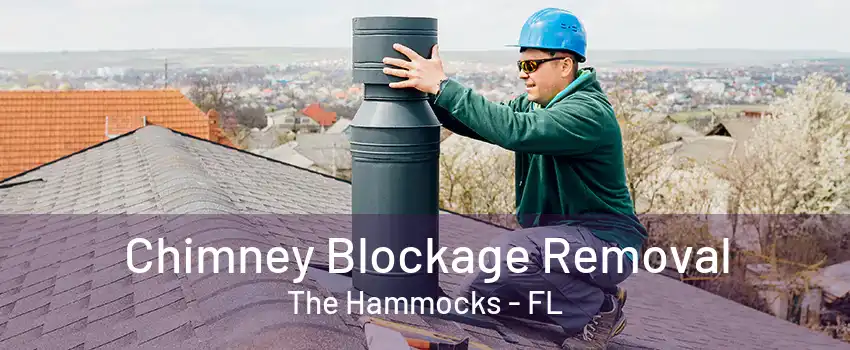 Chimney Blockage Removal The Hammocks - FL