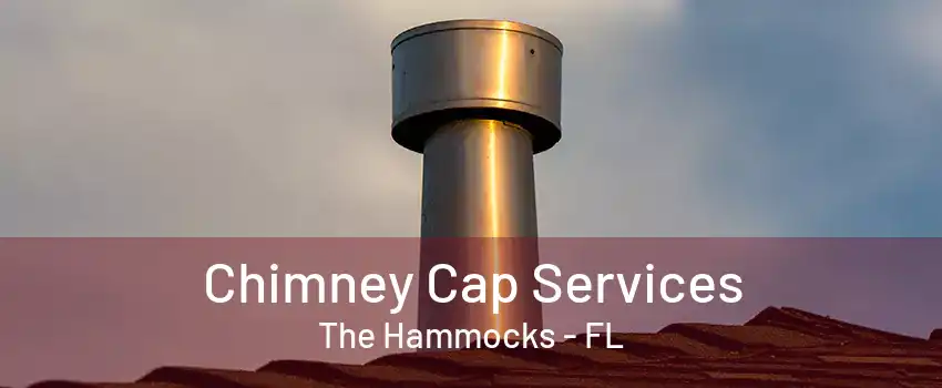 Chimney Cap Services The Hammocks - FL