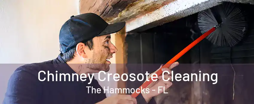 Chimney Creosote Cleaning The Hammocks - FL