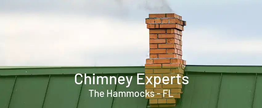 Chimney Experts The Hammocks - FL