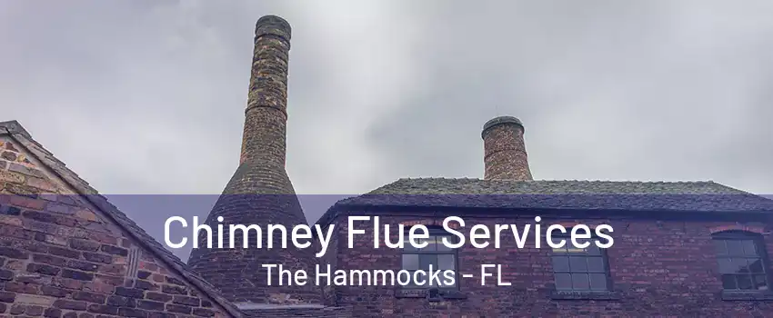 Chimney Flue Services The Hammocks - FL