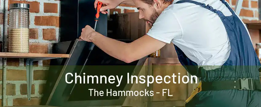 Chimney Inspection The Hammocks - FL