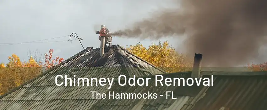 Chimney Odor Removal The Hammocks - FL