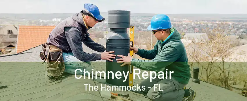 Chimney Repair The Hammocks - FL