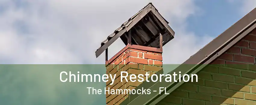 Chimney Restoration The Hammocks - FL