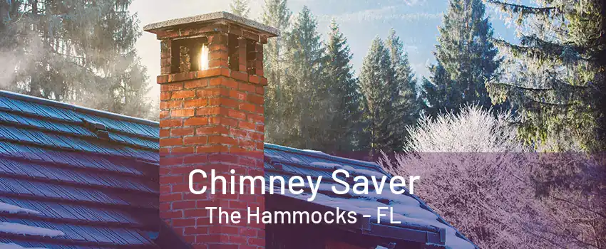 Chimney Saver The Hammocks - FL