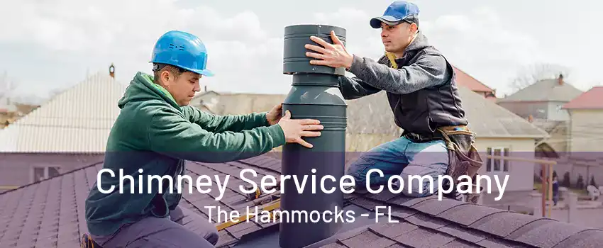 Chimney Service Company The Hammocks - FL