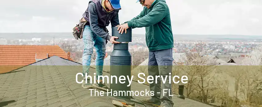 Chimney Service The Hammocks - FL