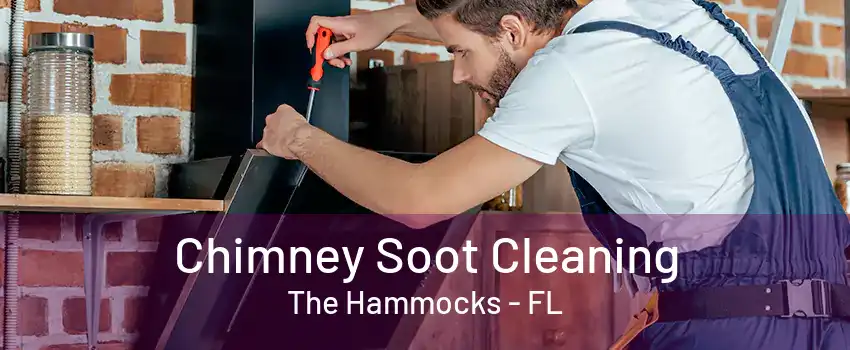 Chimney Soot Cleaning The Hammocks - FL