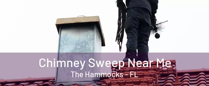 Chimney Sweep Near Me The Hammocks - FL