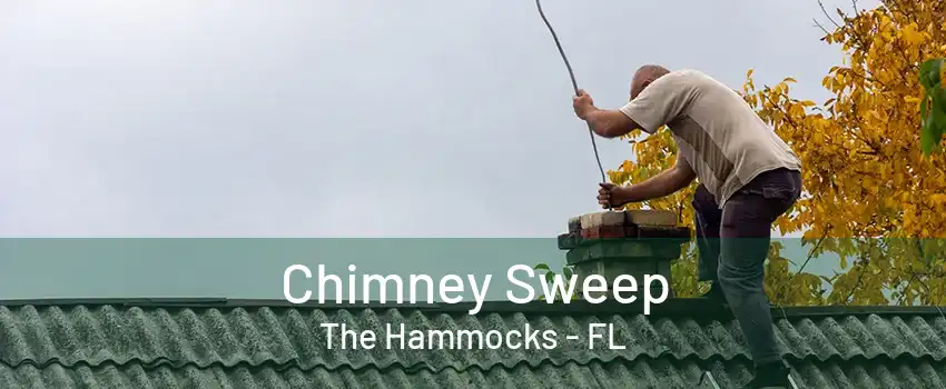 Chimney Sweep The Hammocks - FL