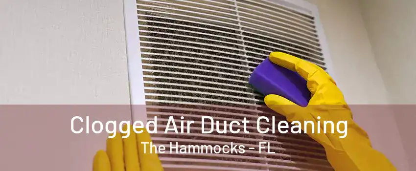 Clogged Air Duct Cleaning The Hammocks - FL