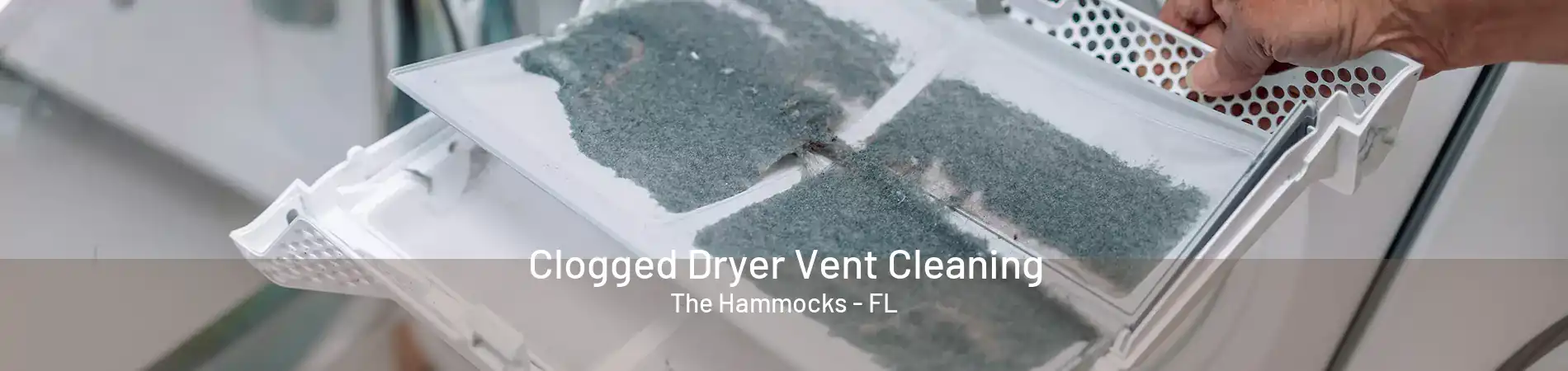 Clogged Dryer Vent Cleaning The Hammocks - FL