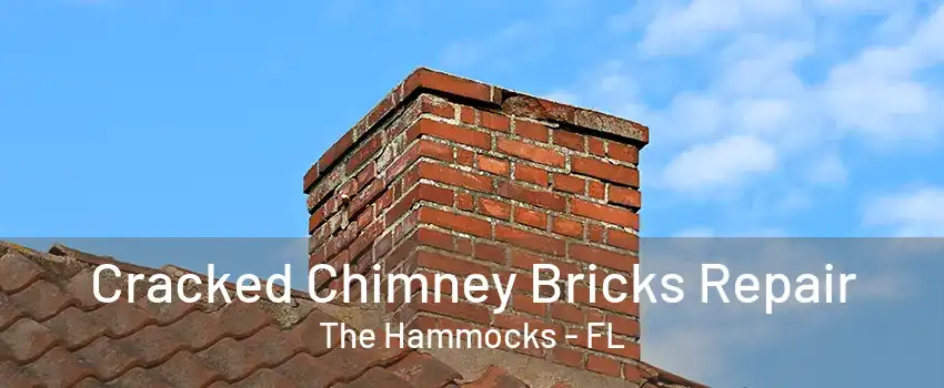 Cracked Chimney Bricks Repair The Hammocks - FL