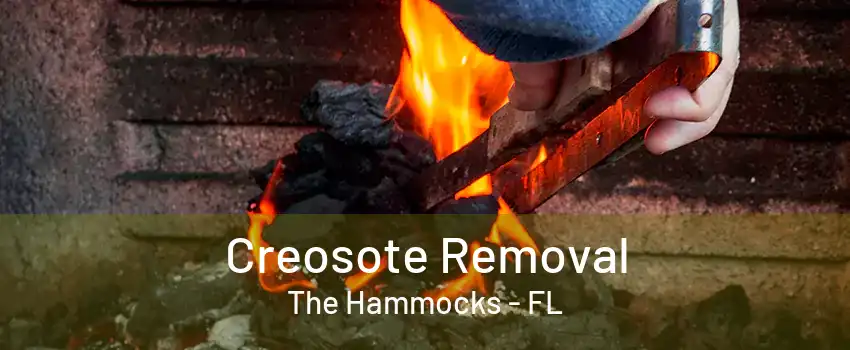 Creosote Removal The Hammocks - FL