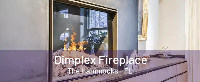 Dimplex Fireplace The Hammocks - FL