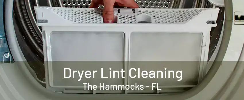 Dryer Lint Cleaning The Hammocks - FL