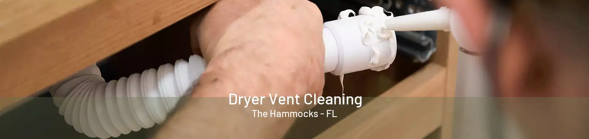 Dryer Vent Cleaning The Hammocks - FL