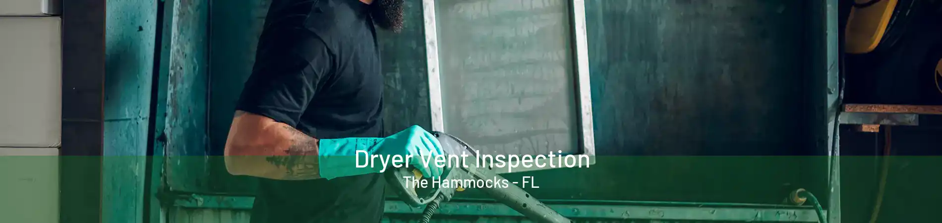 Dryer Vent Inspection The Hammocks - FL