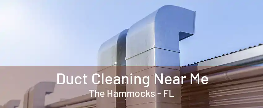 Duct Cleaning Near Me The Hammocks - FL