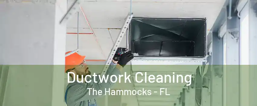 Ductwork Cleaning The Hammocks - FL