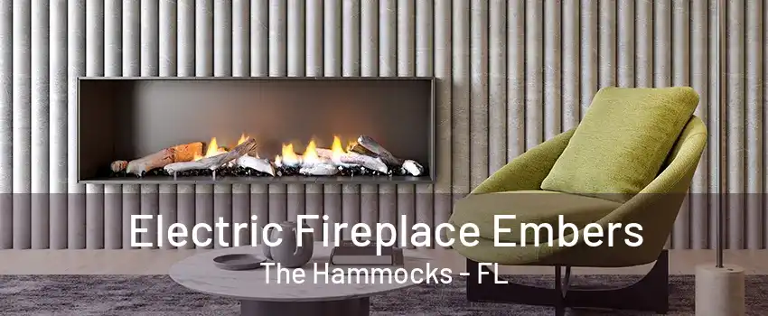 Electric Fireplace Embers The Hammocks - FL