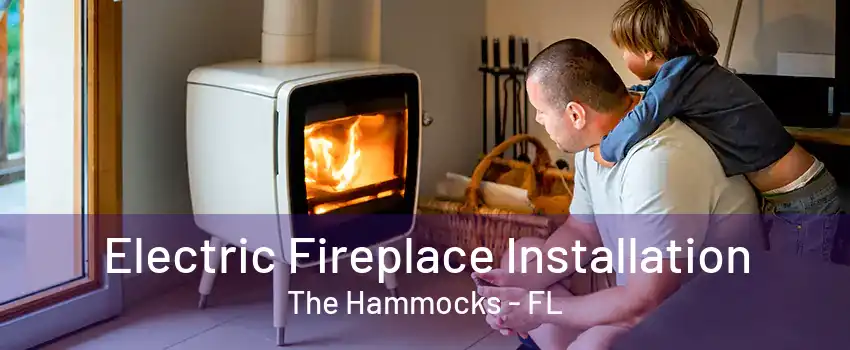 Electric Fireplace Installation The Hammocks - FL