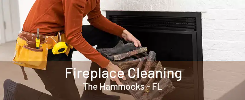 Fireplace Cleaning The Hammocks - FL