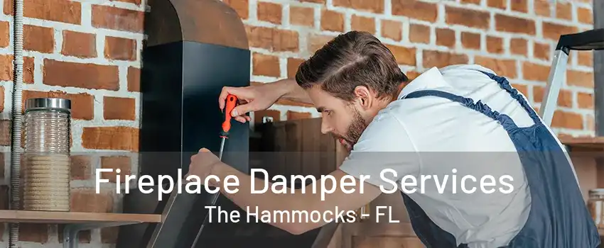 Fireplace Damper Services The Hammocks - FL