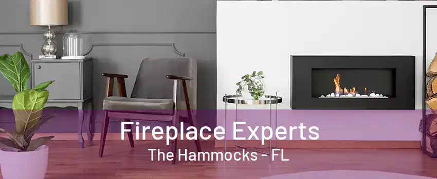 Fireplace Experts The Hammocks - FL