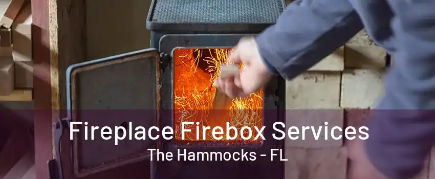 Fireplace Firebox Services The Hammocks - FL