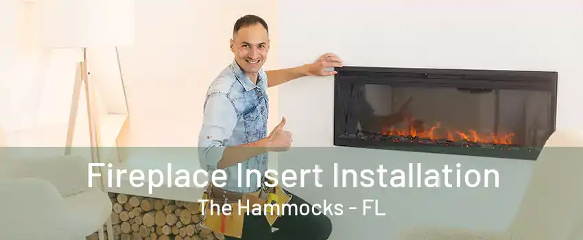 Fireplace Insert Installation The Hammocks - FL