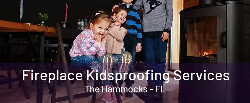 Fireplace Kidsproofing Services The Hammocks - FL