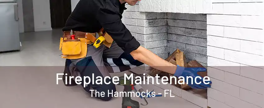 Fireplace Maintenance The Hammocks - FL