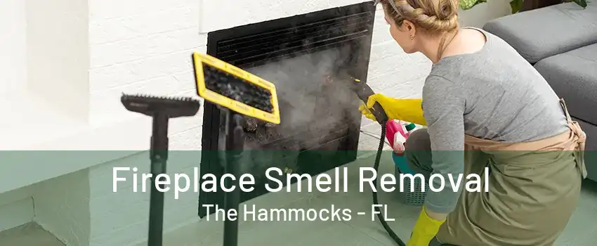 Fireplace Smell Removal The Hammocks - FL