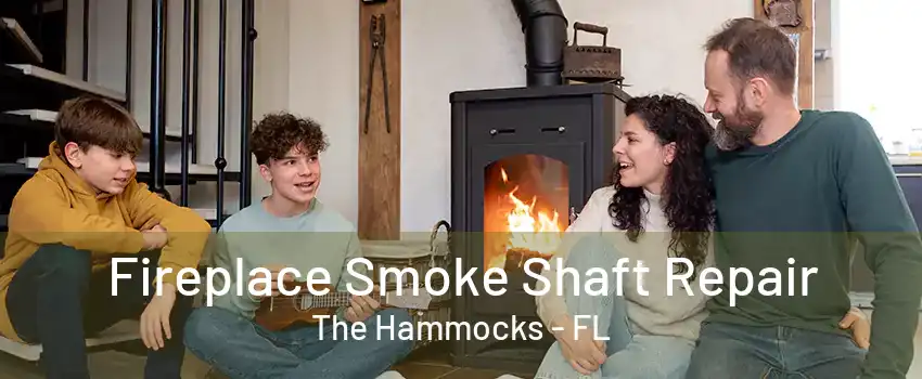 Fireplace Smoke Shaft Repair The Hammocks - FL