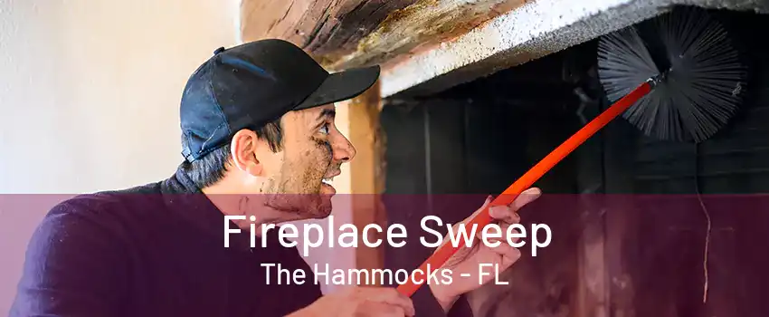 Fireplace Sweep The Hammocks - FL