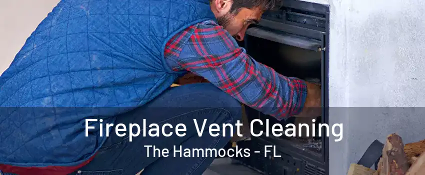 Fireplace Vent Cleaning The Hammocks - FL