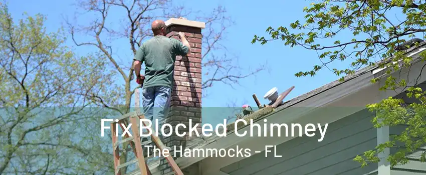 Fix Blocked Chimney The Hammocks - FL