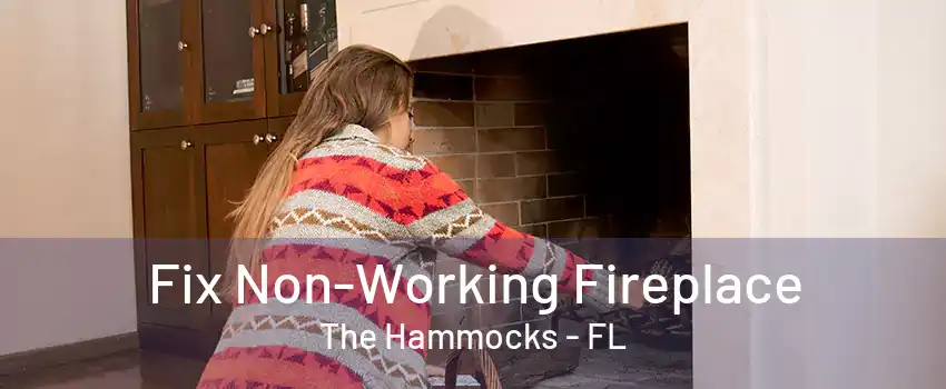 Fix Non-Working Fireplace The Hammocks - FL