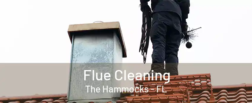 Flue Cleaning The Hammocks - FL