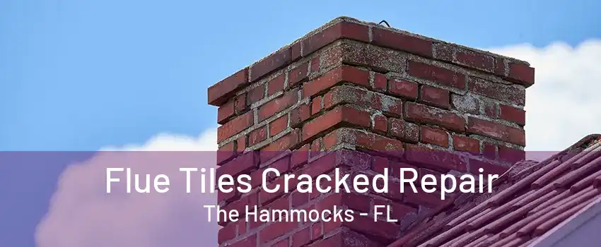 Flue Tiles Cracked Repair The Hammocks - FL