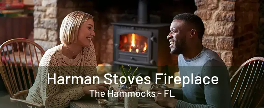 Harman Stoves Fireplace The Hammocks - FL