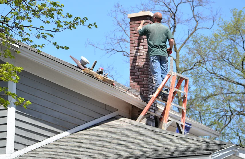 Chimney & Fireplace Inspections Services in The Hammocks