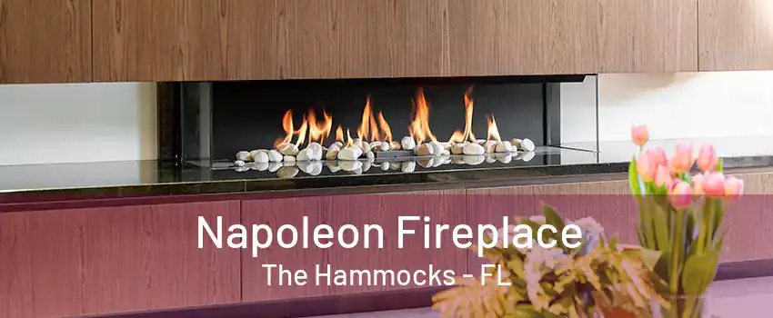 Napoleon Fireplace The Hammocks - FL