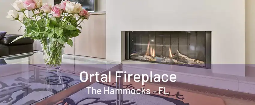 Ortal Fireplace The Hammocks - FL