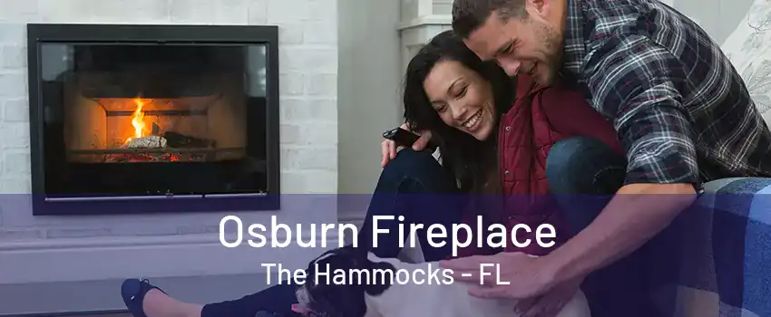 Osburn Fireplace The Hammocks - FL